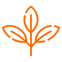 Natural Plant Fiber Composition: Eco-FriendMaterials